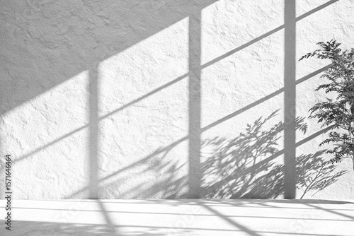Wallpaper Mural Sunlit Minimalist Interior with Textured Wall and Plant Shadow Torontodigital.ca