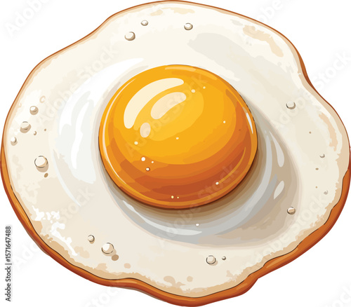 fried egg on a white background