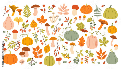 Autumn big set. Hand drawn vector set fall elements. Fall leaves, mushrooms, maple, berries, oak, pumpkins. Harvest time. Colored trendy illustration. Autumn floral stickers. 