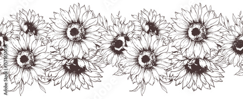 Seamless Sunflower Garland. Seamless Horizontal Sunflowers Background. Sunflower Line Art Drawing. Seamless Flower Design. Botanical garland seamless. Border Frame