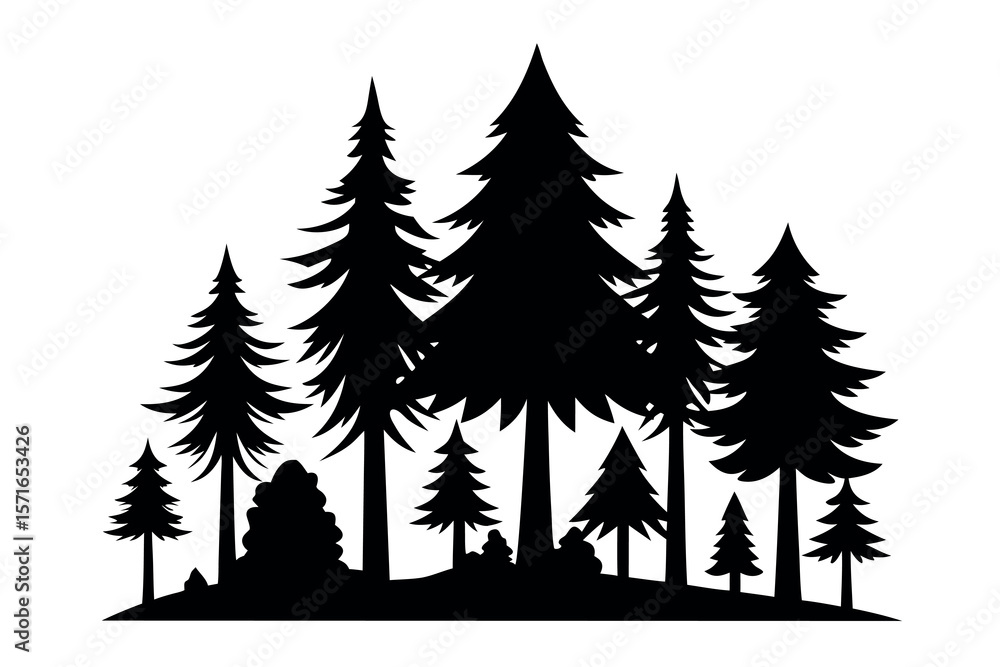Obraz premium Silhouettes of evergreen trees in a forest setting