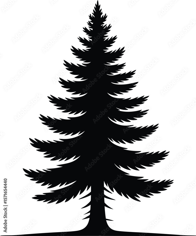 Black silhouette of a tall pine tree on white background Black silhouette of a tall pine tree on white background