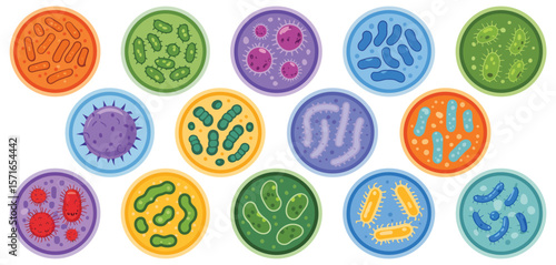 Collection of colorful cartoon microbes and bacteria in petri dishes for science education