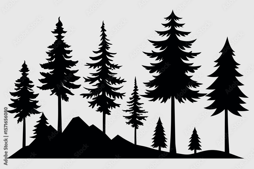 Fototapeta premium Silhouettes of evergreen trees in a forest&nbsp;setting
