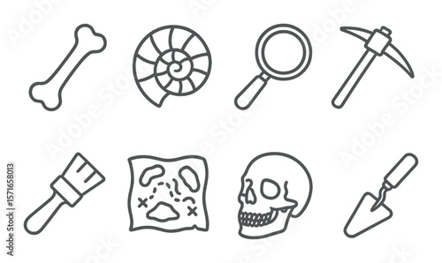 Fossil icon set: linear paleontology tools. bone, shell, magnifying glass, skull icons