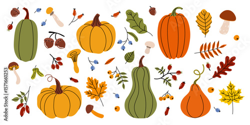 Collection of colorful pumpkins and autumn leaves arranged creatively for seasonal decor and celebration preparation