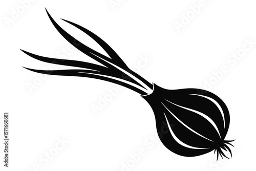 Silhouette of a Fresh Green Onion with Roots and Long Leaves, Vegetarian Food
