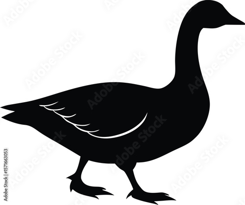 A goose walking with lowered head and open wings in searching stance silhouette Vector
