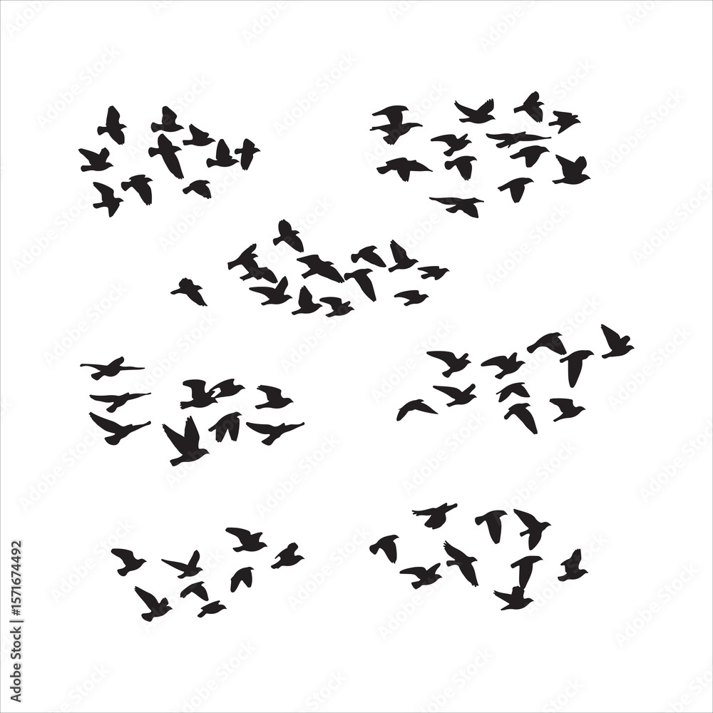 Naklejka premium Flock of birds in flight silhouette isolated on white background Art & Illustration