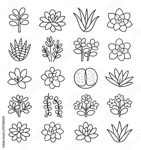 Succulent plant icons collection, botanical symbols. greenery and nature design set