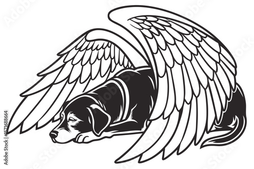 Elder Dog Laying Beneath Angel Wing Canopy
