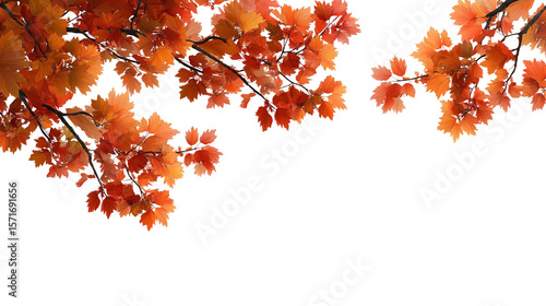 autumn leaves on top frame corner png