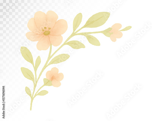 Watercolor illustration of soft pastel peach flower with green leaves, perfect for baby shower decorations, nursery prints, invitations, and greeting cards. Vector illustration.