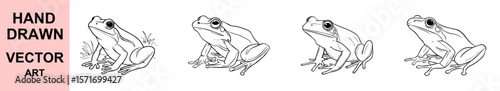 Realistic Hand Drawn Frog Vector Set, Amphibian Animal Outline Illustration, Nature Wildlife Clipart, Frog Sitting Pose Sketch for Educational and Decorative Designs
