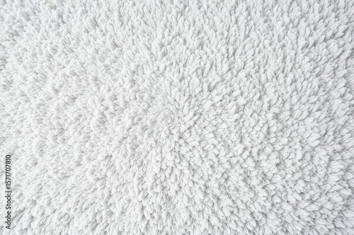 minimal modern white fluffy carpet