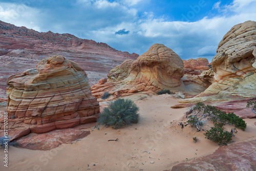 The Wave in Vermilion Cliffs, USA, showcases surreal sandstone formations with wave-like patterns and rich colors, carved by wind and water over millions of years. Iconic geologic wonder.