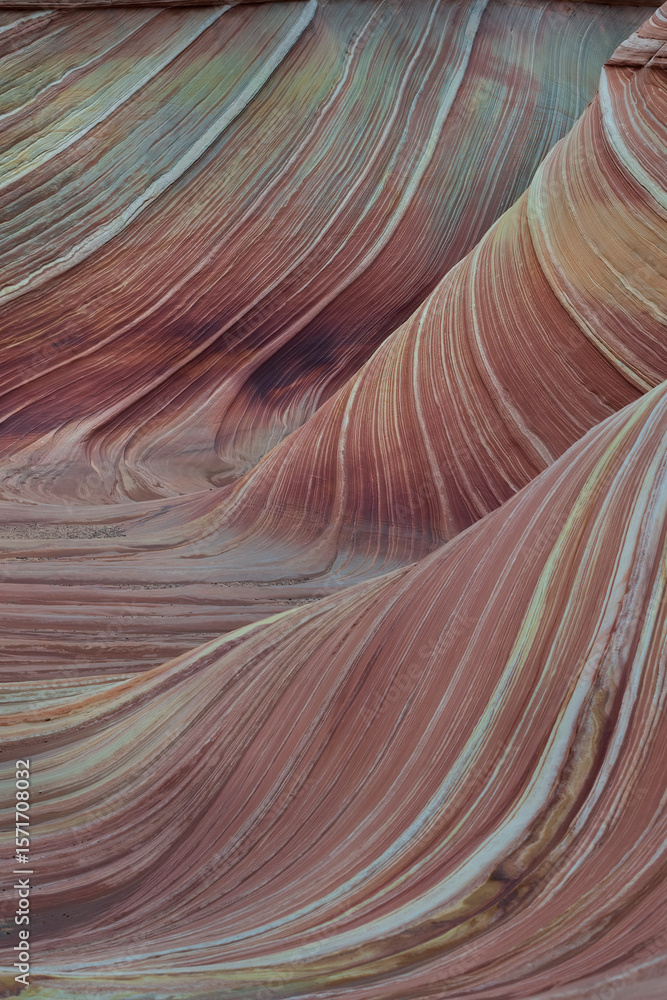 Obraz premium The Wave in Vermilion Cliffs, USA, showcases surreal sandstone formations with wave-like patterns and rich colors, carved by wind and water over millions of years. Iconic geologic wonder.