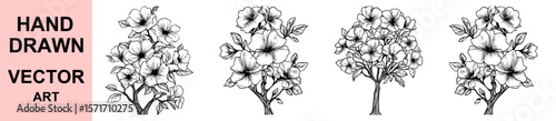 Hand drawn vector flower tree blossom illustration with black ink outlines perfect for spring botanical design, invitations, printmaking and elegant vintage art projects
