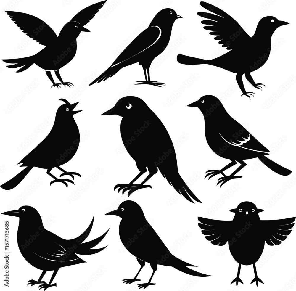 Obraz premium Birds silhouette bundle vector A collection of 12 black silhouettes in various poses, including jumping, standing, sitting. Each silhouette is clean and minimal,contrast, no details inside the shapes,