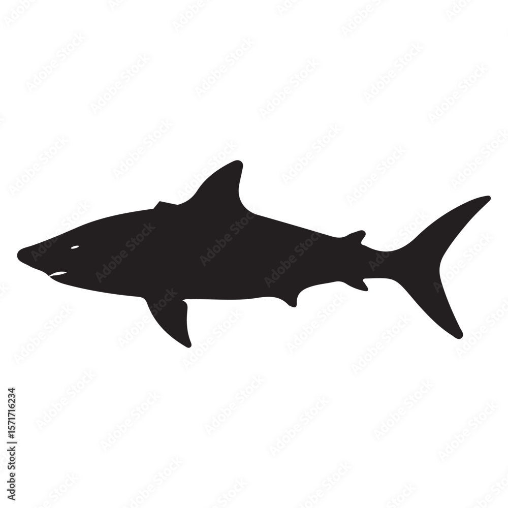 Fototapeta premium Versatile vector design with vibrant color options and classic typography for diverse creative applications