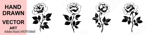 Black and White Vector Rose Illustration Design With Leaves and Thorns for Floral Print and Decorative Pattern Art Projects