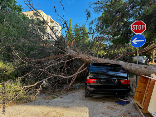 Large tree blocking a black station wagon on a street in Croatia, Split with abandoned furniture nearby, highlights the aftermath of a hurricanes destruction