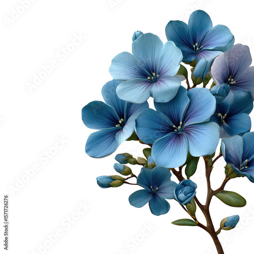 Wallpaper Mural Beautiful blue flowers isolated on transparent background Torontodigital.ca