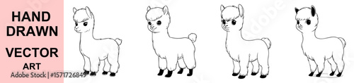 Cute hand drawn cartoon alpaca vector illustration set, fluffy baby llama line art, outlined farm animal for kids design, coloring page and print decor