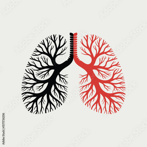 Diseased and Healthy Lungs Symbolic Representation