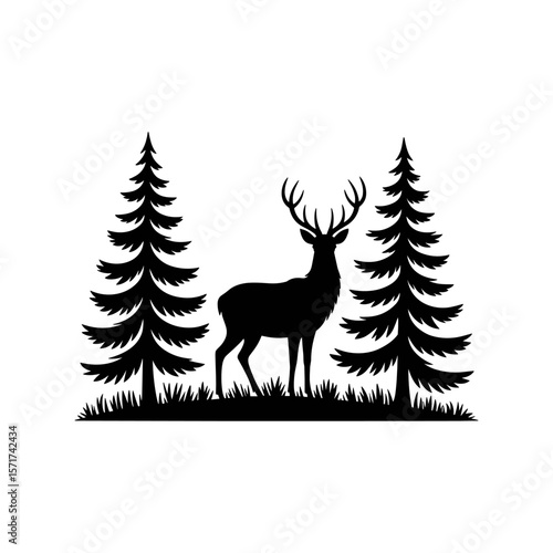 Deer in Silhouette: Majestic deer silhouette standing proudly amidst towering trees, evoking the calm of the wilderness and the grandeur of nature.