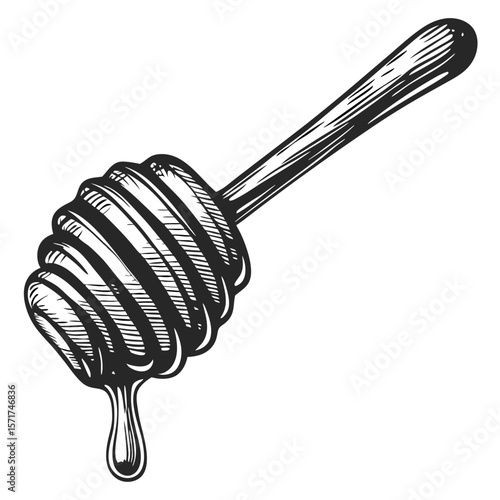 Hand-drawn engraving of honey dipper with dripping honey for design elements. Detailed illustration includes wooden honey dipper with viscous dripping sweet liquid.