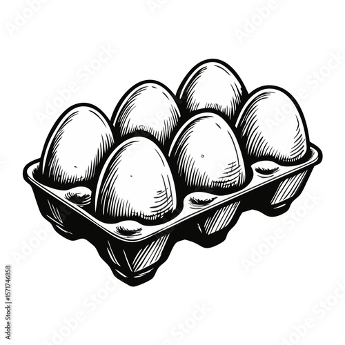 Eggs in carton, sketched in monochrome, show fresh chicken eggs packaged and ready to use. Chicken eggs in carton create a rustic, farm-fresh aesthetic, showcasing simple food staples.