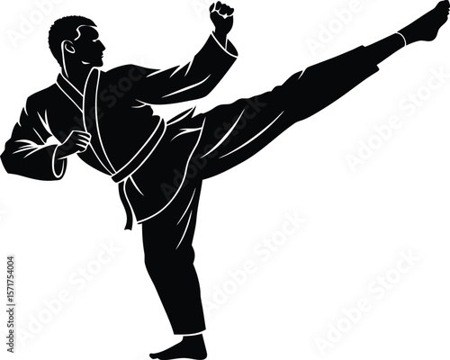Karate High Kick Silhouette,Karate Fighter Kick