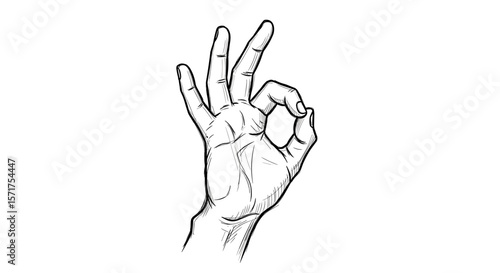 the hand shows ok a vintage sketch on a white background, hand-drawn doodle