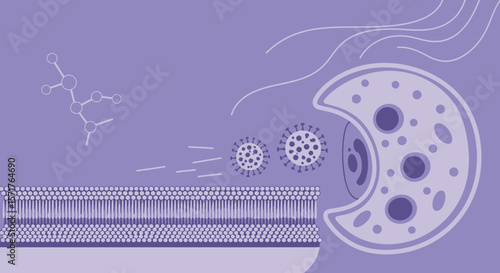 Viral Invasion Illustration Shows Virus Entering Cell Wall In Lilac Tones
