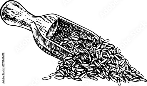A wooden spatula filled with rice, wheat, oats, or rye. A black and white vector illustration. Design element for menus, recipes, and cookbooks, for banners, flyers, packaging, labels, and more.