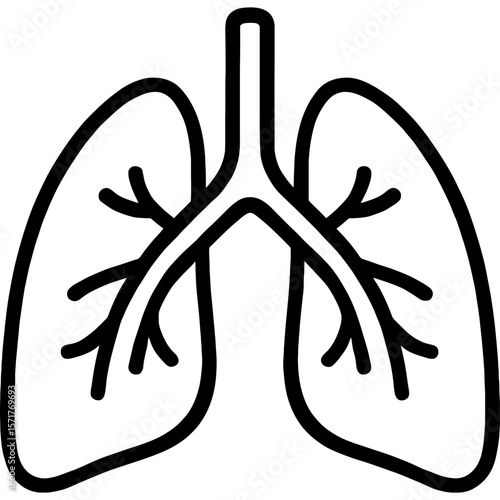 Lungs with bronchi outline icon vector