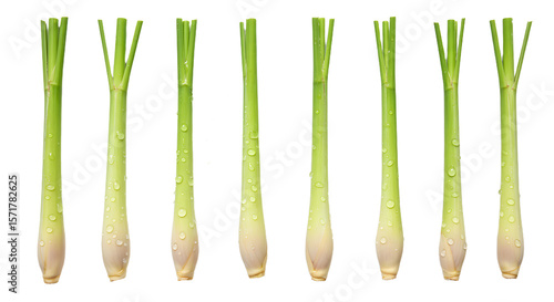 Freshly harvested lemongrass arranged neatly on a black background, showcasing droplets of water for a vibrant, natural look