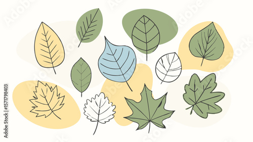Minimalist leaves background. Vector illustration of leaf structure.