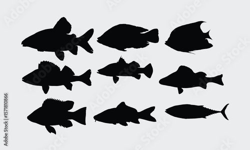 Fish Silhouette Bundle, illustration with hand-lettering and decoration elements, Files as Cutting, Isolated background.
