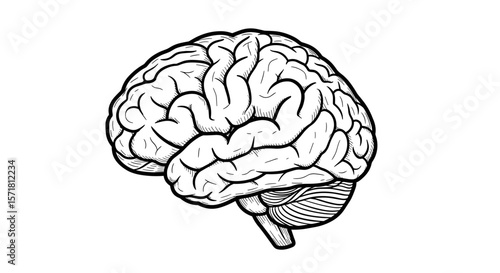 vintage sketch doodle human brain