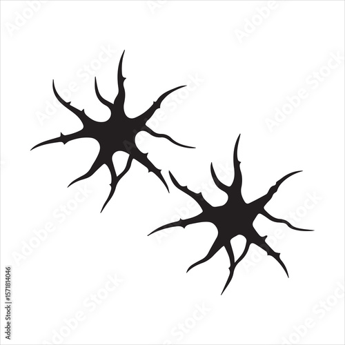 brittle star silhouette vector