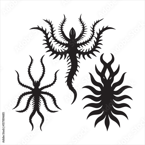 brittle star silhouette vector
