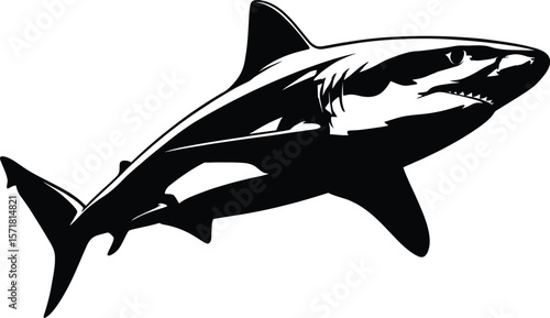 Powerful Black and White Shark Silhouette