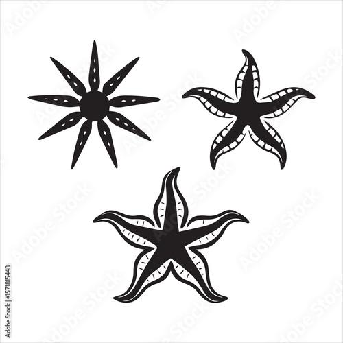 brittle star silhouette vector