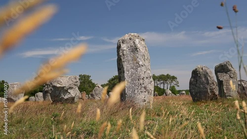 Les alignements des menhirs de Carnac en Bretagne. Patrimoine mondial de l'UNESCO.