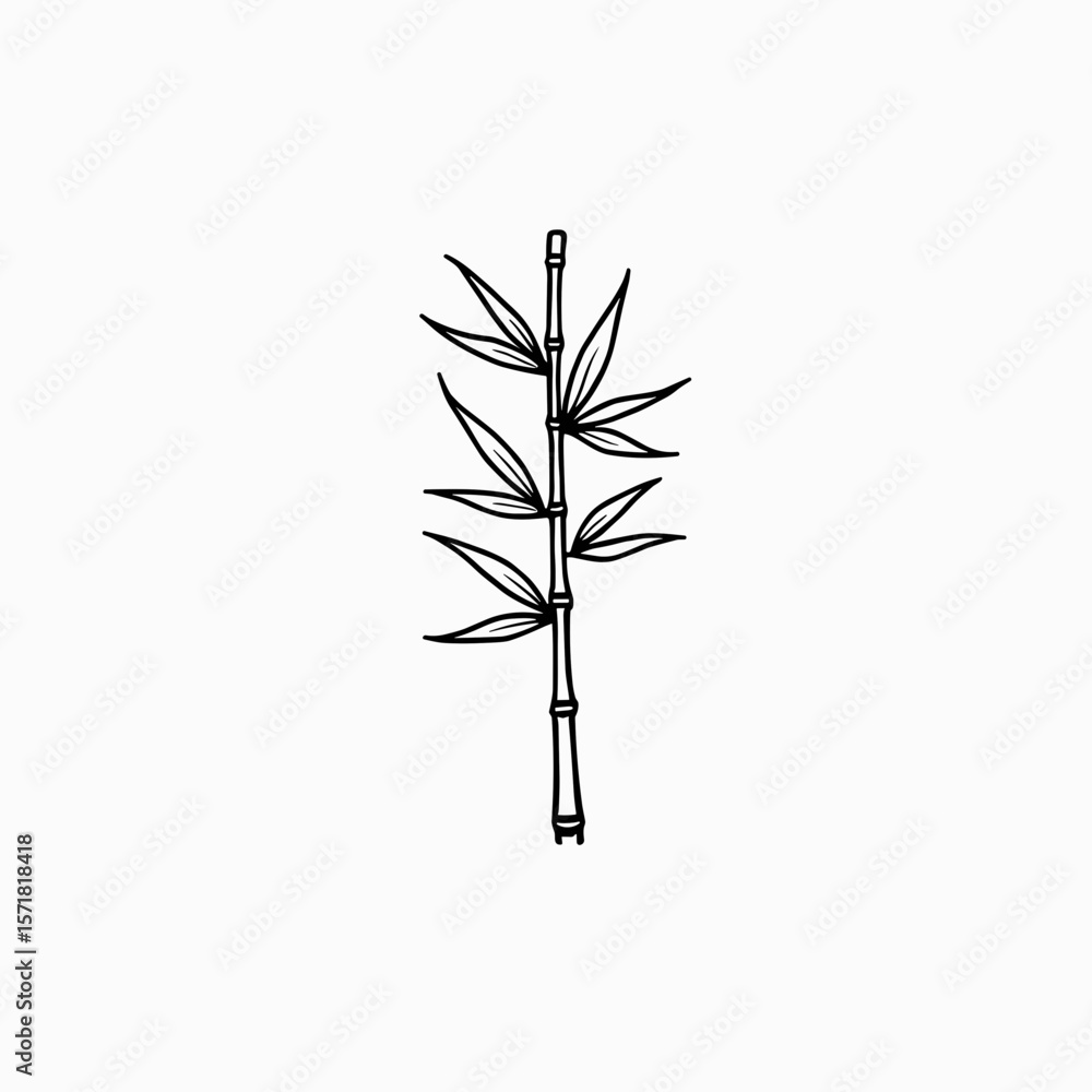 custom made wallpaper toronto digitalBamboo plant illustration in minimalist style with black outline  