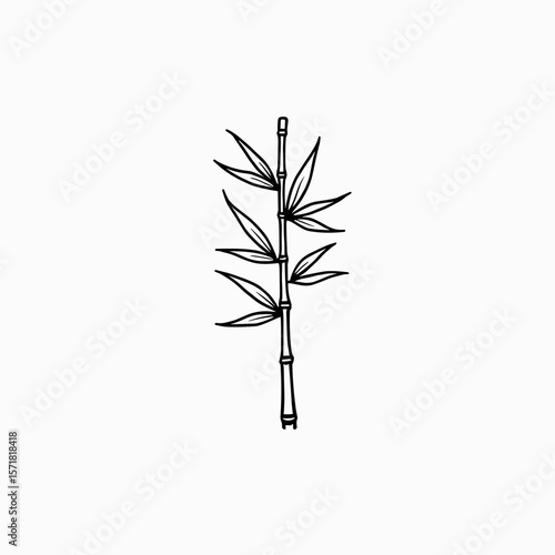 Wallpaper Mural Bamboo plant illustration in minimalist style with black outline   Torontodigital.ca
