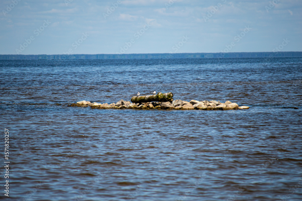 Fototapeta premium The spring landscapes on the Kiev Sea showcase blooming nature, calm waters, and a refreshing atmosphere perfect for seasonal relaxation in Kyiv, Ukraine