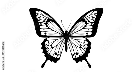 Elegant butterfly in black and white line art perfect for tattoo designs and illustrations